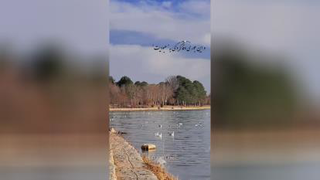 حلال مشکلات