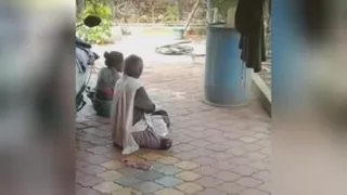 مرغ دزد ماهر