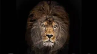 علی رمضانپور ریمیکس