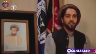 شیر پنجشیر و خواجه شیرازی