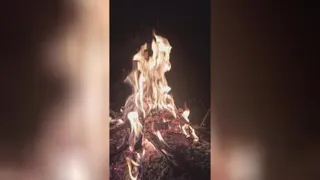 شب سکوت طبیعت