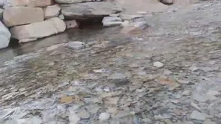 طبیعت گردی