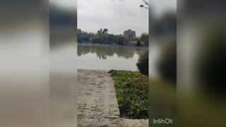 زاینده رود