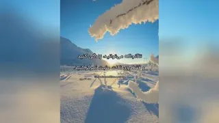 زندگی کن..