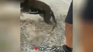 تشکر سگ از انسانی که جونشو نجات داد