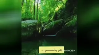 دوستان آمده ام باز...
