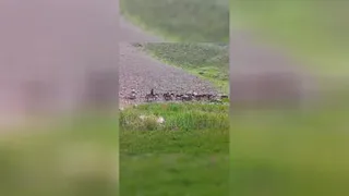 کوه‌ تفریح