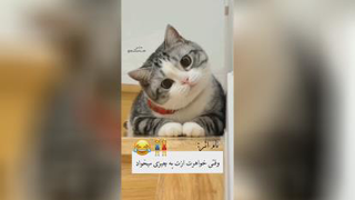 یک عدد مظلوم🟣🌸😅