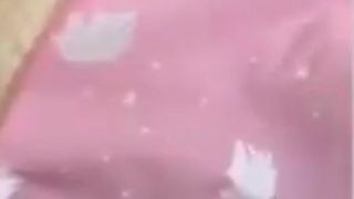 کاکتوس آواز خوان