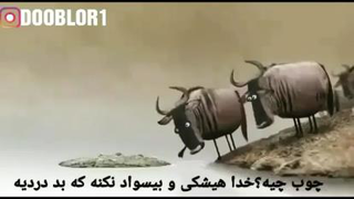 چوب یا تمساح ... مسئله اینست!!!