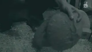 موسس خانه تار