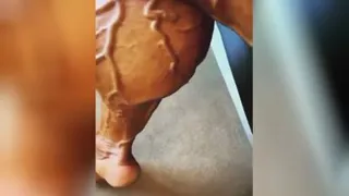 عظلات پاهای شماچه شکلین