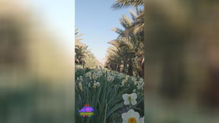 سفر به ناشناخته های ایران قسمت 3