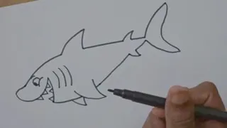 آموزش نقاشی کوسه
