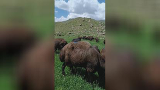طبیعت زیبای سهند
