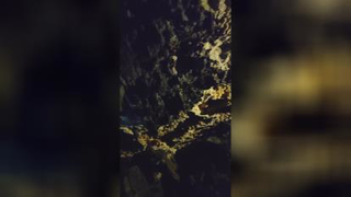غار علیصدر