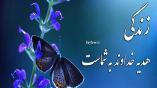 هدیه خداوند به تو بنده عزیز