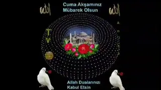 هفته وحدت