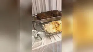 پاتلاگ تفریحی آموزشی رامسر