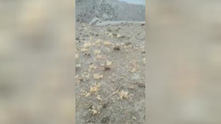 طبیعت زیبای روستای ماخ