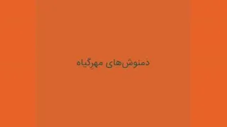 دمنوش های گیاهی و میوه ای مهر گیاه
