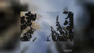 روز نوزدهم سپاسگزاری. پیامدهای شگفت‌انگیز 💚🙏