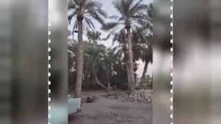 تاب بازی هیجانی