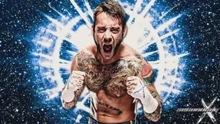 تم سانگ CM Punk (WWE) - سال 2013