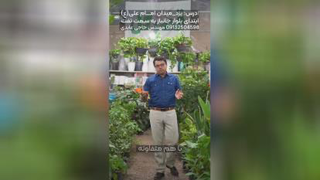 مرکز خرید گل و گیاه در یزد