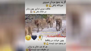 کارگروهی