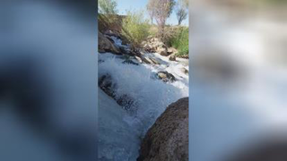فریدون شهر