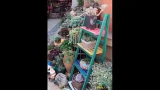 زیباترین و شگفت انگیزترین باغ دنیا😍😍