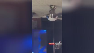 بیرون آمدن مار بزرگ کنار پنکه سقفی