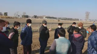 نقش جشنواره‌ها‌ی زیبایی اسب در معرفی و پیشرفت کیفیت تولید اسب ترکمن