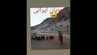 تفاوت را احساس کنید