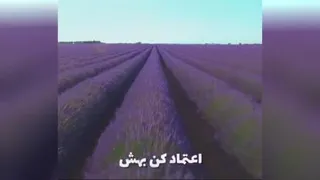 به خدا اعتماد کن
