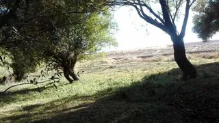 روستای چرخه بیان#سنندج