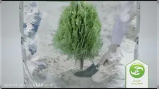 دی دی واتر علیرضا گلزار کار خوب کردن مثل آب خوردن است