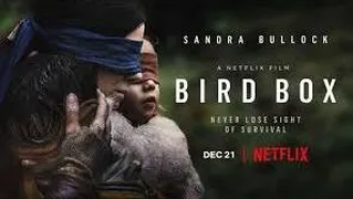 فیلم جعبه پرنده Bird Box دوبله فارسی