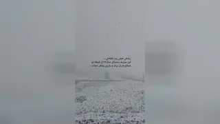 زندگی باید کرد