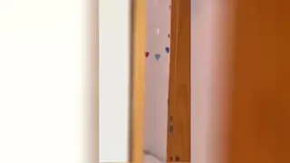 با این قیمتها فکر عالی بود😂