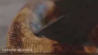 مار و اره