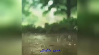 دکلمه زنده یادخسرو شکیبایی