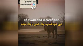 ذهنت خیلی مهمه