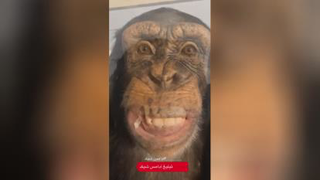 ههههه ببین خیلی عالیه ههههههه