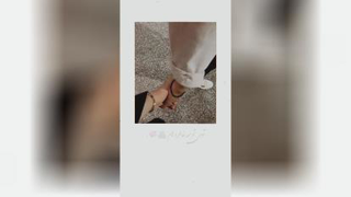 اهنگ بهنام بانی