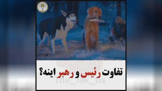 انگیزشی
