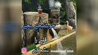 کلیپ روز