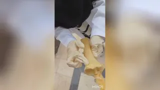 آناتومی ساعد در حیوانات(زندزیرین و زندزبرین)