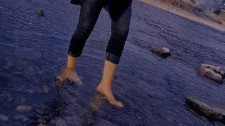 آهنگ عربی